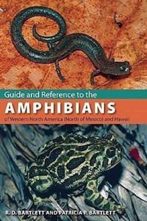 Bartlett, R:  Guide and Reference to the Amphibians of Weste