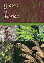 Grasses of Florida