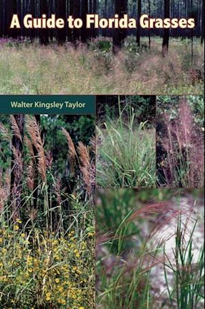 Guide to Florida Grasses