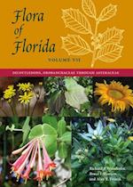 Flora of Florida, Volume VII