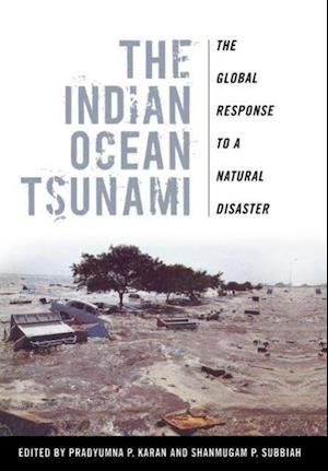 The Indian Ocean Tsunami