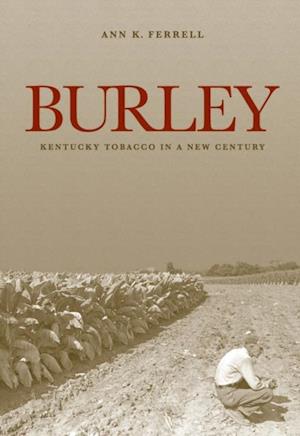 Burley