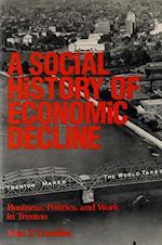 A Social History of Economic Decline: Business, Politics, and Work in Trenton 