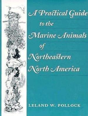 A Practical Guide to the Marine Animals of Northeastern North America