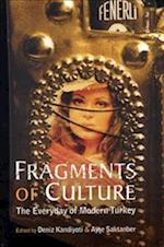 Fragments of Culture