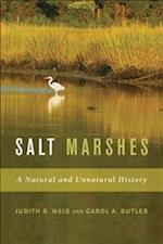 Salt Marshes
