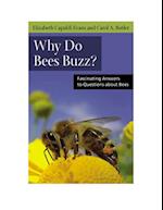 Why do Bees Buzz?