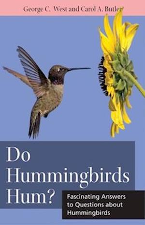 Do Hummingbirds Hum?