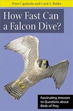 How Fast Can A Falcon Dive?