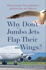 Why Don't Jumbo Jets Flap Their Wings?