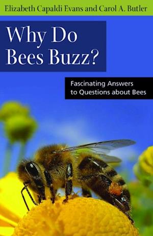 Why Do Bees Buzz?