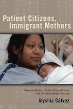 Patient Citizens, Immigrant Mothers