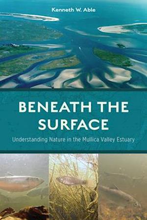 Beneath the Surface