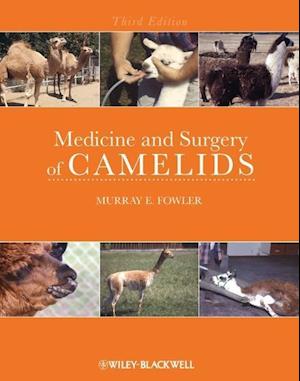 Medicine and Surgery of Camelids