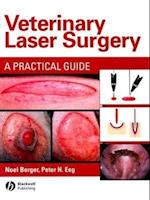 Veterinary Laser Surgery: A Practical Guide