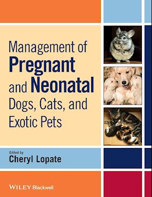 Management of Pregnant and Neonatal Dogs, Cats, and Exotic Pets