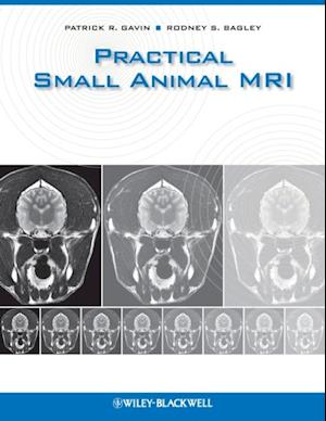 Practical Small Animal MRI