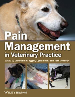 Pain Mgmt Small Animal Vet Pra