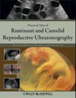 Atlas of Ruminant and Camelid Reproductive Ultrasonography