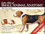 Color Atlas of Small Animal Anatomy – The Essentials