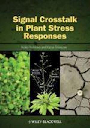Signal Cross Talk in Plant Stress Responses