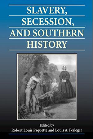 Slavery, Secession, and Southern History