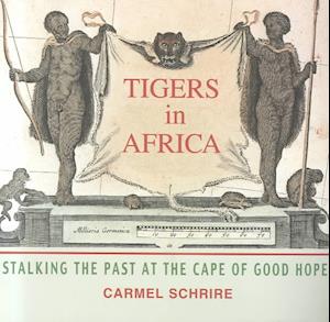 Tigers in Africa