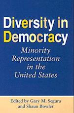 Diversity in Democracy