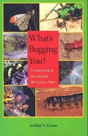 What's Bugging You?: A Fond Look at the Animals We Love to Hate