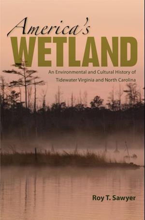 America's Wetland