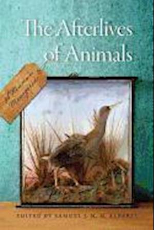 The Afterlives of Animals