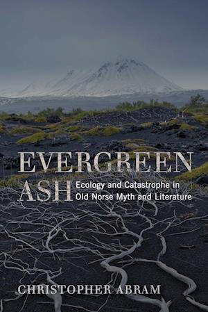 Evergreen Ash