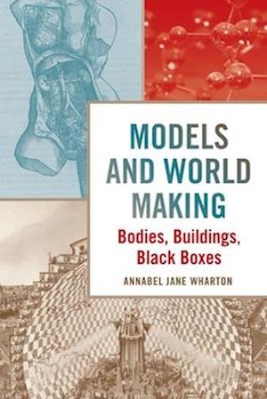 Models and World Making: Bodies, Buildings, Black Boxes