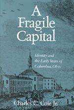 Fragile Capital