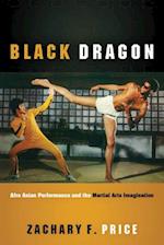 Black Dragon: Afro Asian Performance and the Martial Arts Imagination 