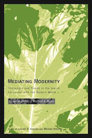 Mediating Modernity