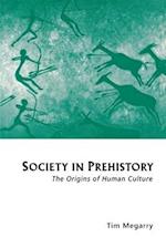 Society in Prehistory