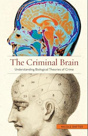 Criminal Brain