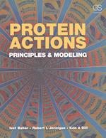 Protein Actions