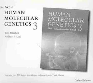 The Art of Human Molecular Genetics