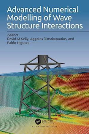 Advanced Numerical Modelling of Wave Structure Interaction