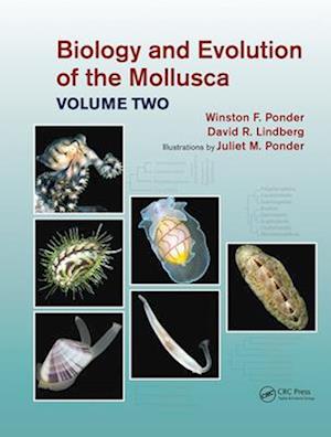 Biology and Evolution of the Mollusca, Volume 2