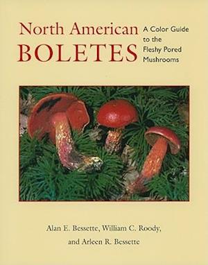 North American Boletes