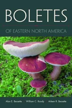 Boletes of Eastern North America