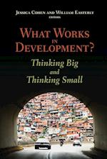 What Works in Development? Thinking Big and Thinking Small