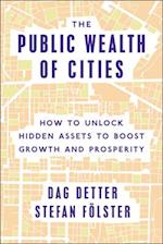 Public Wealth of Cities