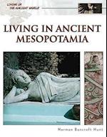 Living in Ancient Mesopotamia