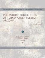 Prehistoric Households at Turkey Creek Pueblo, Arizona