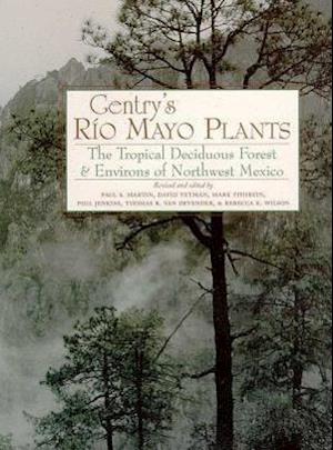 Gentry's Rio Mayo Plants