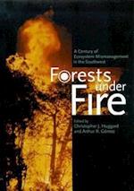 Forest Under Fire